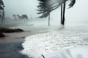 &nbsp;>thisisjustarandomplaceholder<viento-florida-IP | Iberian Press®&nbsp;