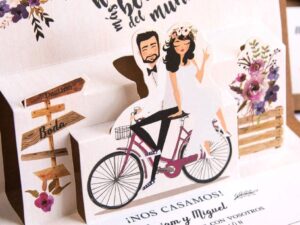 Dinedit Detalles