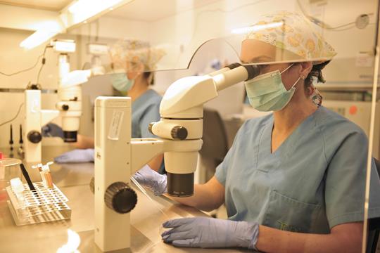 La ciencia de la fertilidad y la importancia de la información fiable