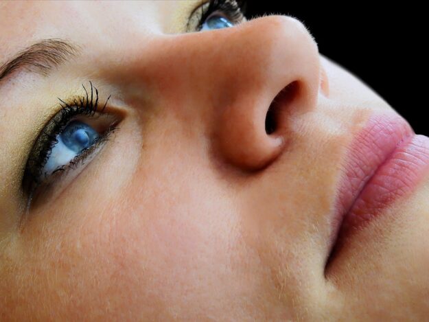 instituto otosur – IP