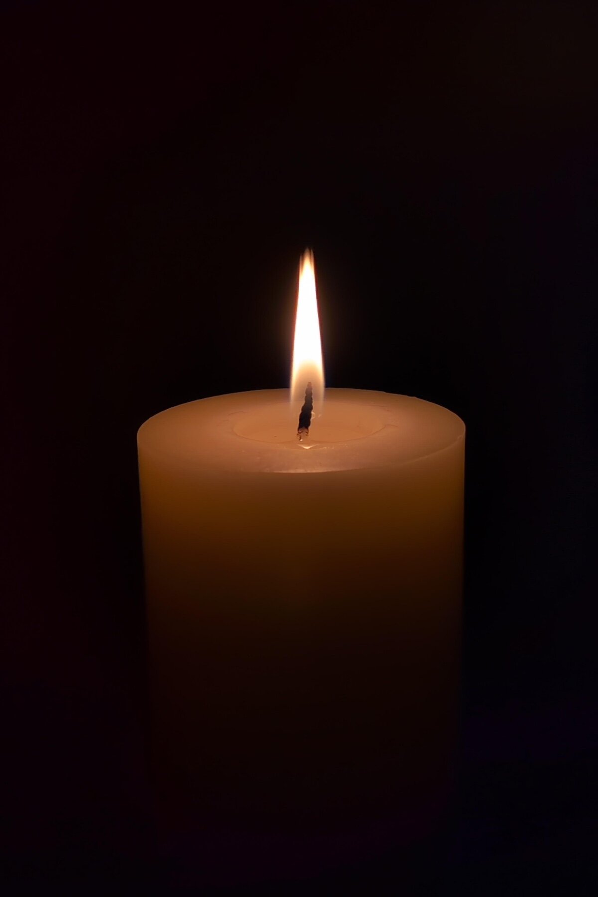 Una vela encendida se multiplica en pantallas del mundo: llega una nueva edición de Ensayos para la Paz