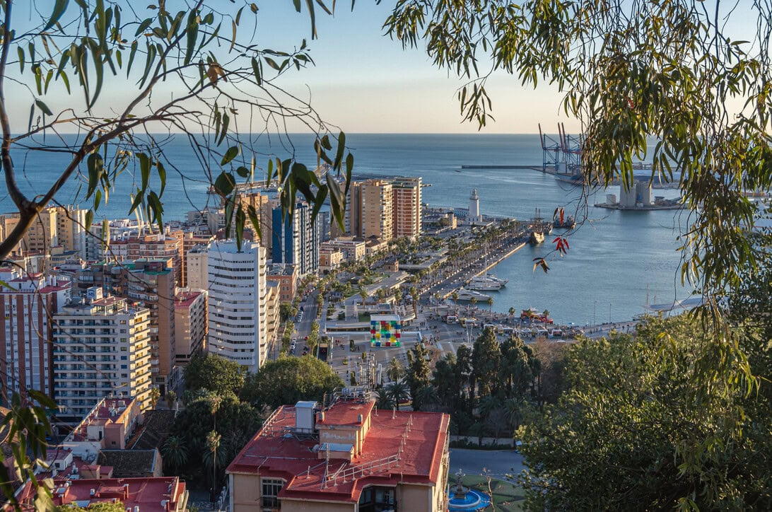 Panoramic coastal city view with high-rise buildings along the shore and a harbor with cranes in the distance, framed by tree branches in the foreground.