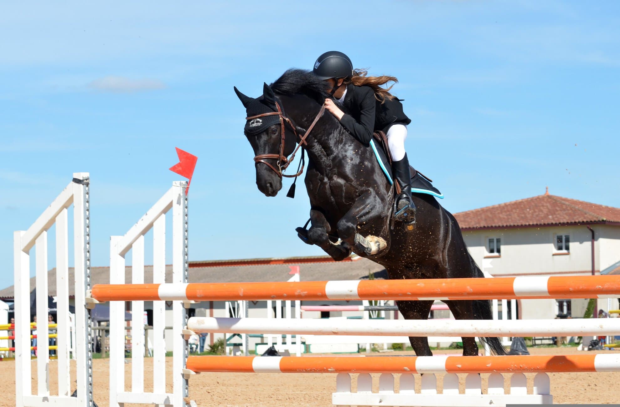 Rider in black jacket and helmet jumps a dark horse over an orange-and-white show jump on a sunny day.