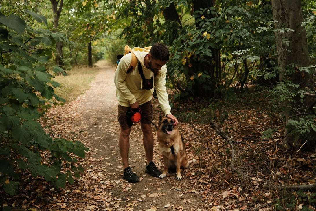 Man in a light hoodie and shorts on a forest trail, bending to pet a German Shepherd sitting beside him with a leash.