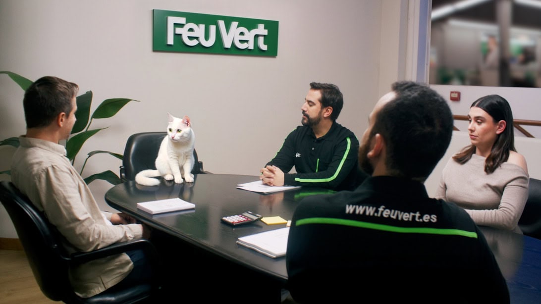 Four people in a meeting around a conference table; a white cat sits on the table, with a Feu Vert sign on the wall.