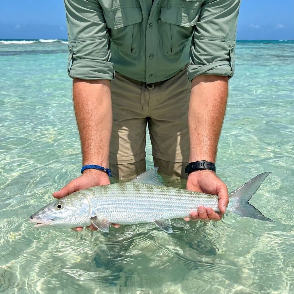Los Roques Travel destaca a Los Roques como el destino de pesca con mosca más exclusivo del Caribe para el viajero europeo