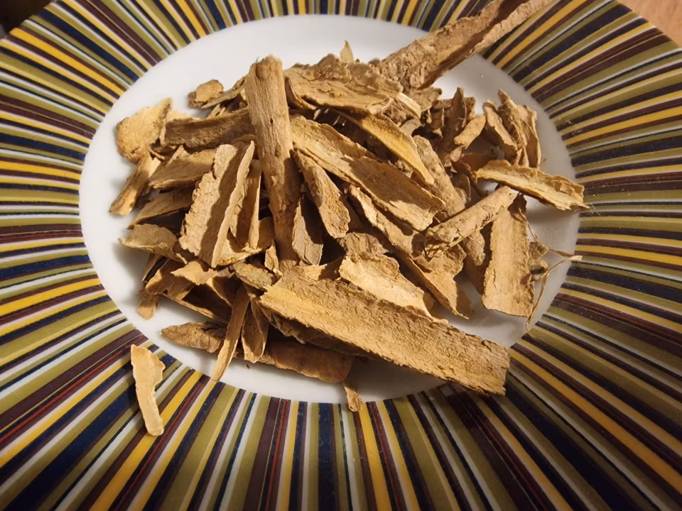 iboga root bark legality