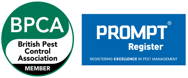 Members of BPCA and PROMPT