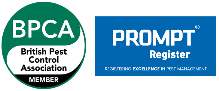 Members of BPCA and PROMPT