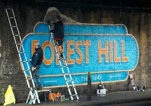 Pest Control Forest Hill London SE23