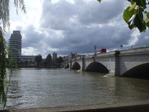 Pest Control In Putney and Roehampton, London SW15