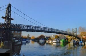 Pest Control Thames Ditton KT7