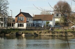 Pest Control Shepperton TW17