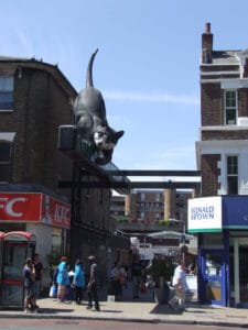 Pest Control Services in Catford, Bellingham, Hither Green