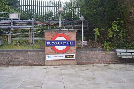 Pest Control Buckhurst Hill