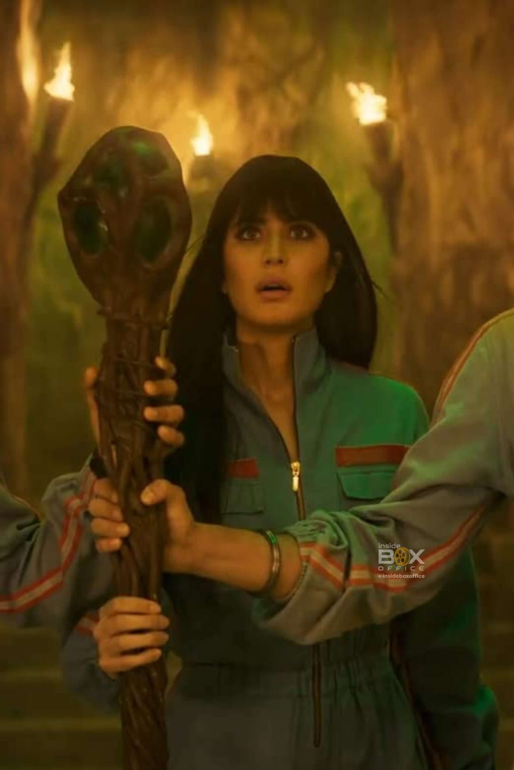 Katrina Kaif - Inside Box Office