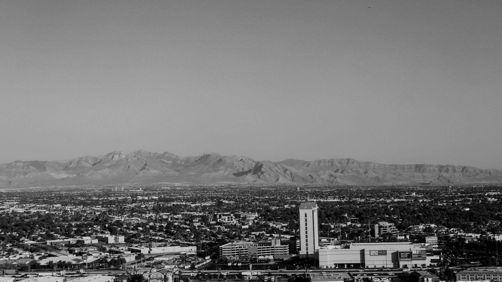 Who Rents in Las Vegas, a Renter Demographics Snapshot