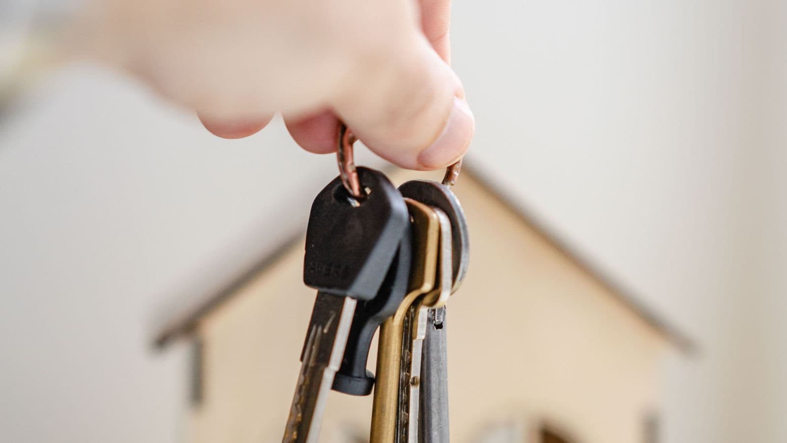 Domestic Violence Lease Termination Rights in Nevada, NRS 118A.345