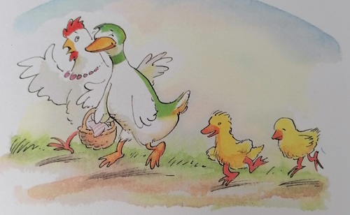 Bunte Hühner und Enten, idyllisch auf dem Land unterwegs.