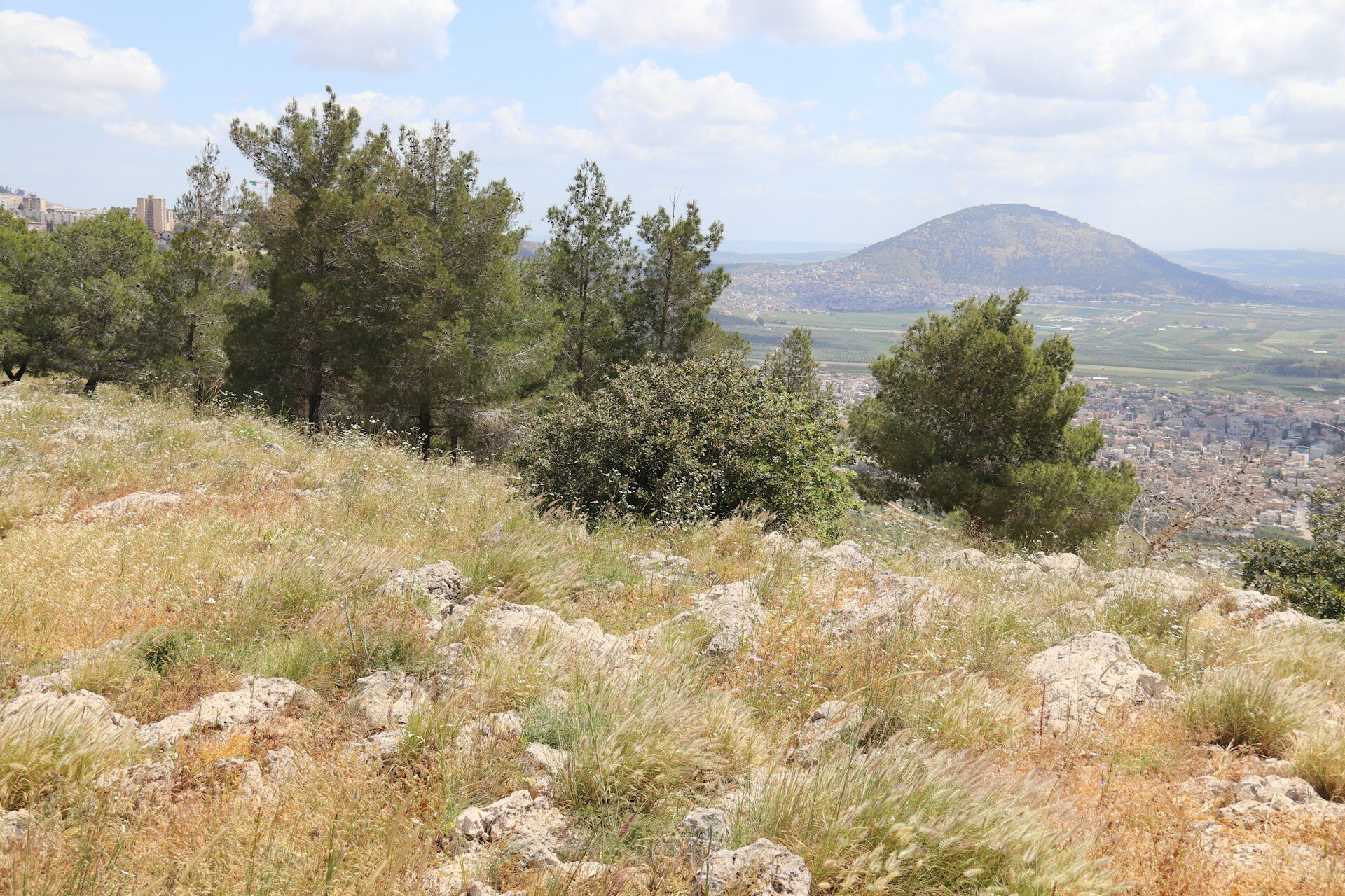 נוף הר תבור מהר הקפיצה בנצרת