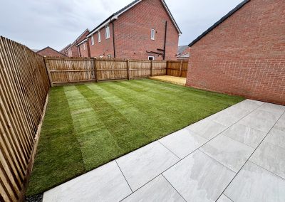 Jungle No More: A Garden Reborn!