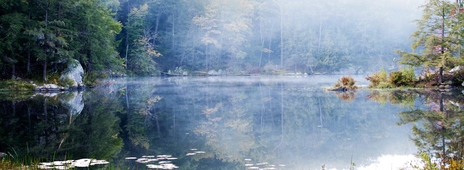 Misty Morning at John Burroughs #1