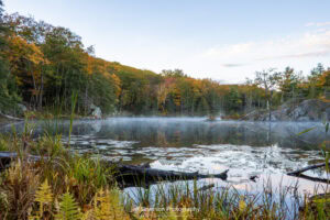 Mist over Sanctuary Pond at John Burroughs Nature Sanctuary on an October morning.