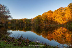 Autumn foliage reflected in South Pond at Ferncliff Forest during the golden hour of sunrise on an October morning.