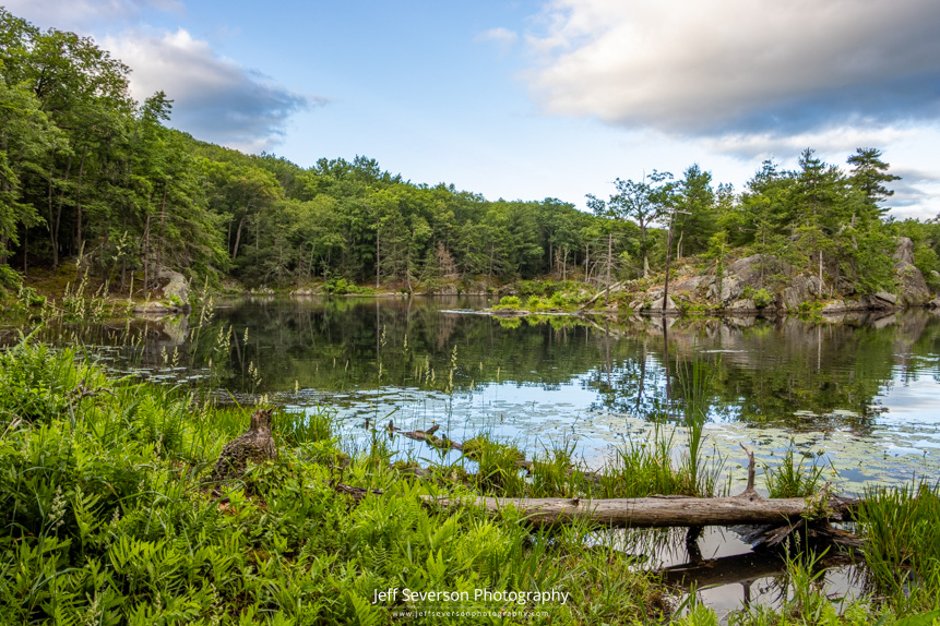 A late spring morning at Sanctuary Pond at John Burroughs Nature Sanctuary in Highland, NY.