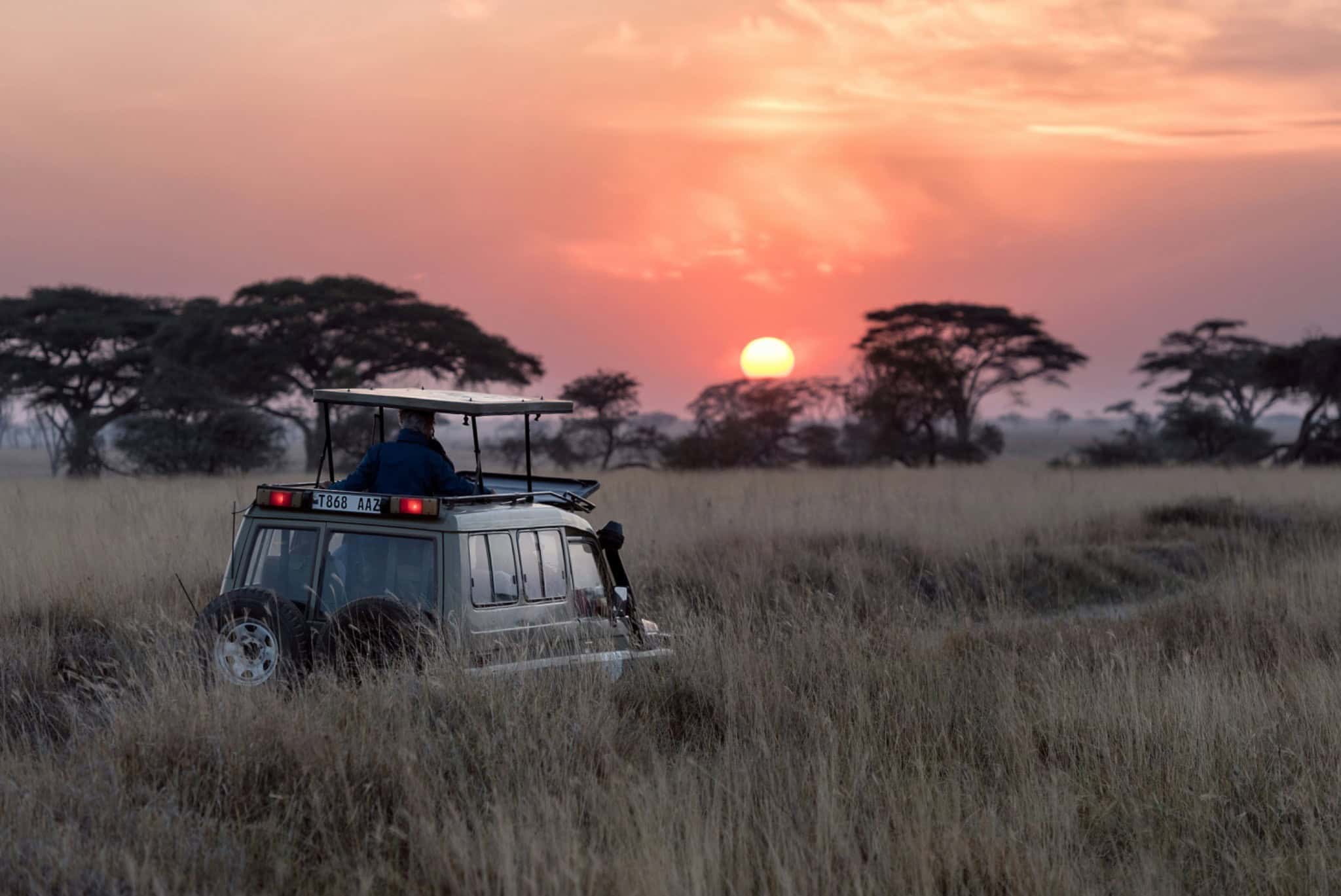 Game drive vehicle on the endless plains