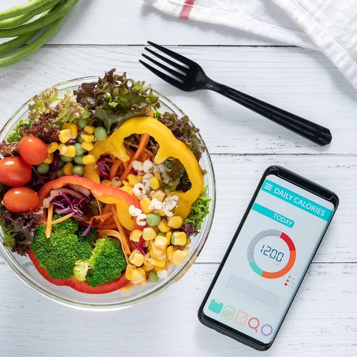 smartphone for calorie counting with a meal