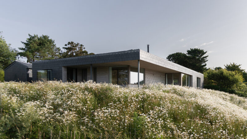 An Vownder