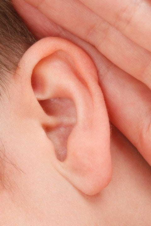 close-up ear sound