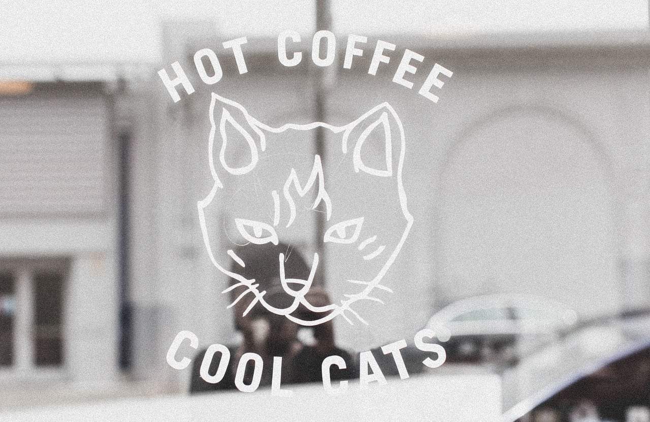 Should We Use Cat Videos for Marketing?