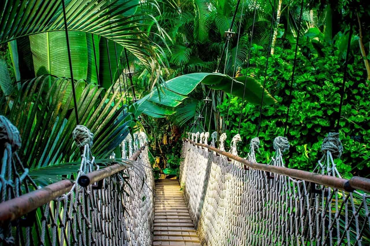 camera operator AMA