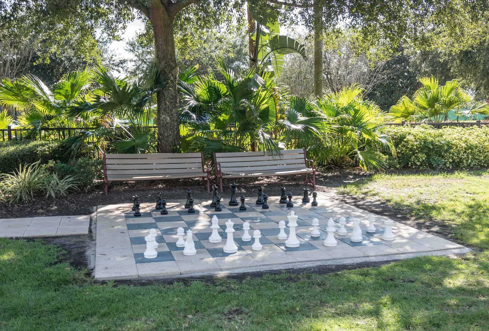 large chess set