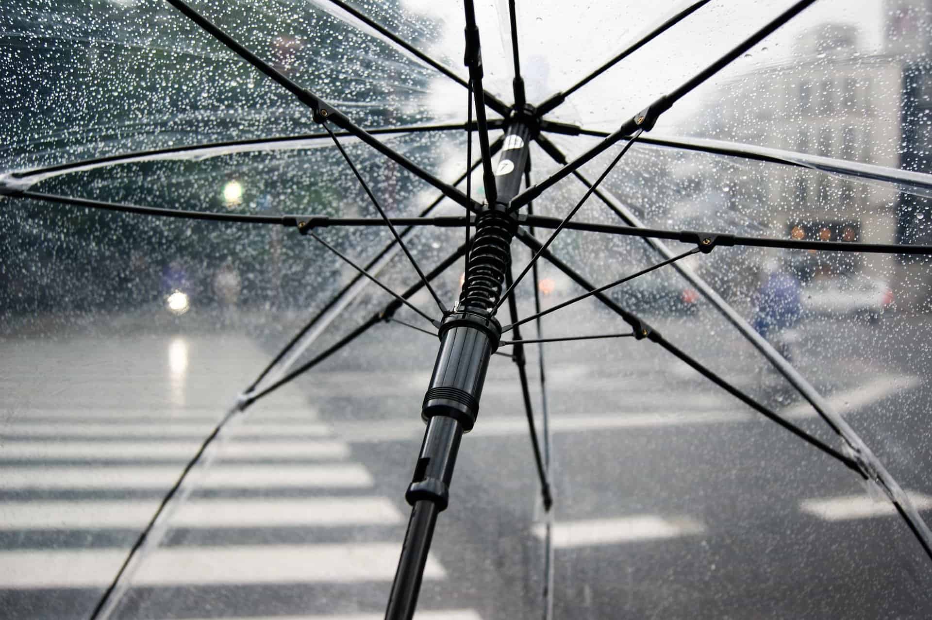umbrella