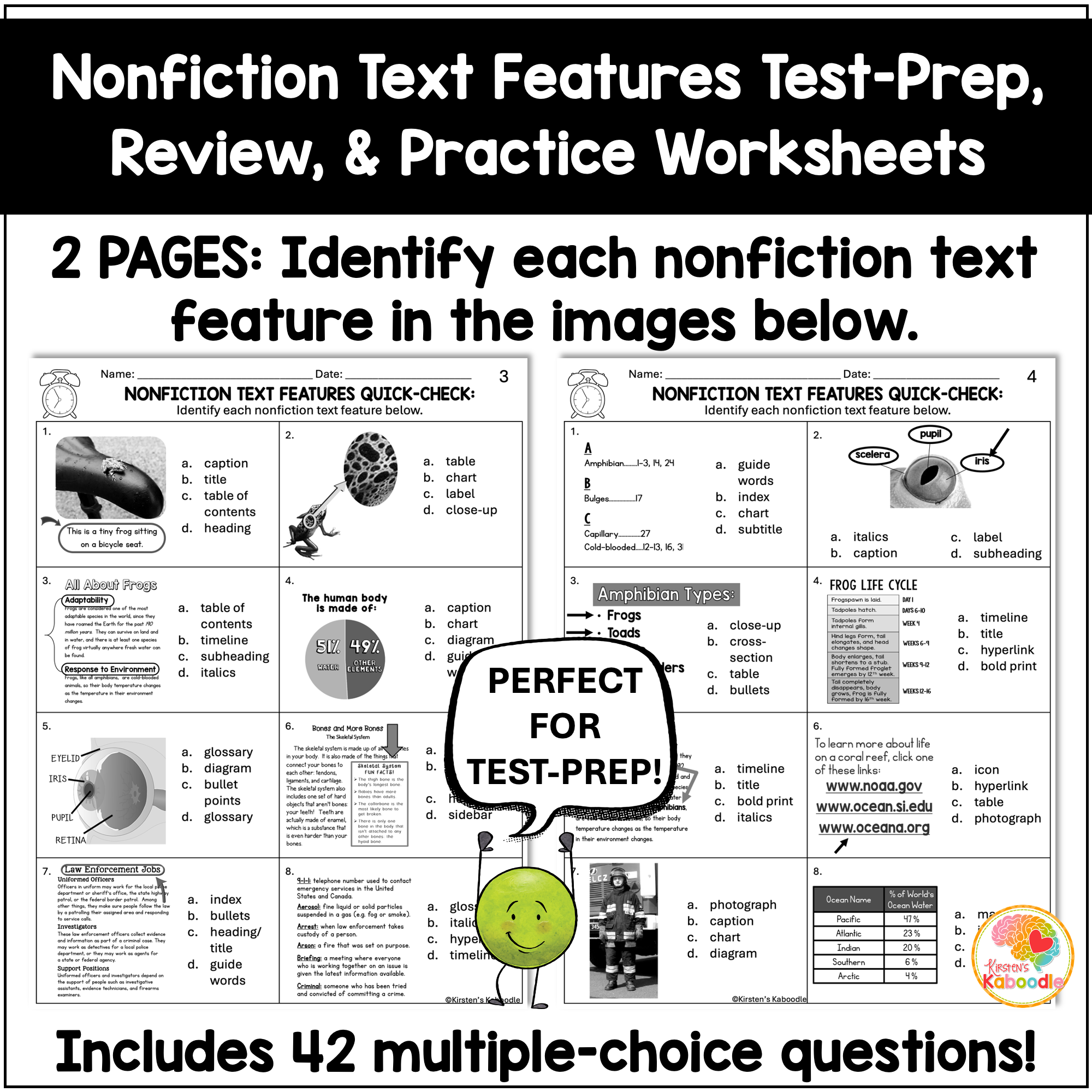 nonfiction-text-features-review-worksheets-quick-check