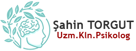 Uzman Klinik Psikolog ile Online Terapi Desteği