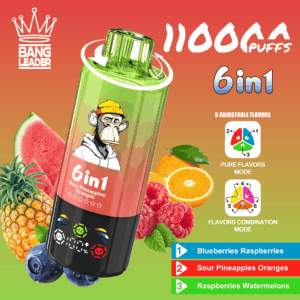 Bang Leader 110K Blueberries Raspberries & Sour Pineapple Orange & Raspberry Watermelon