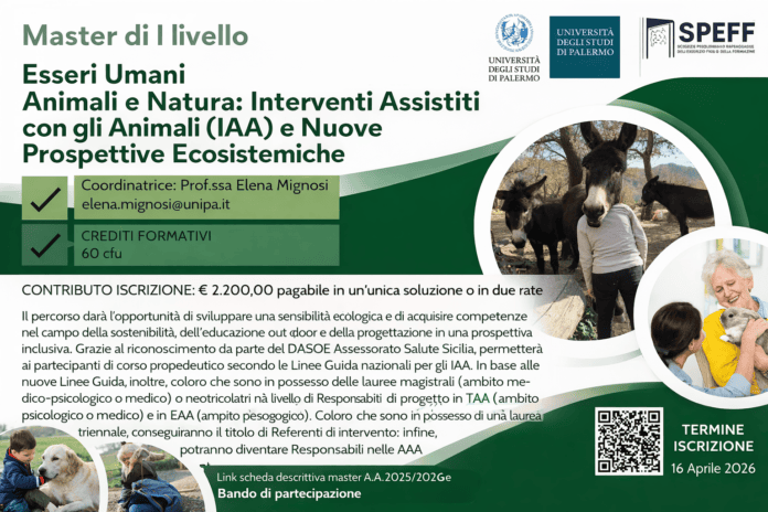 master università palermo