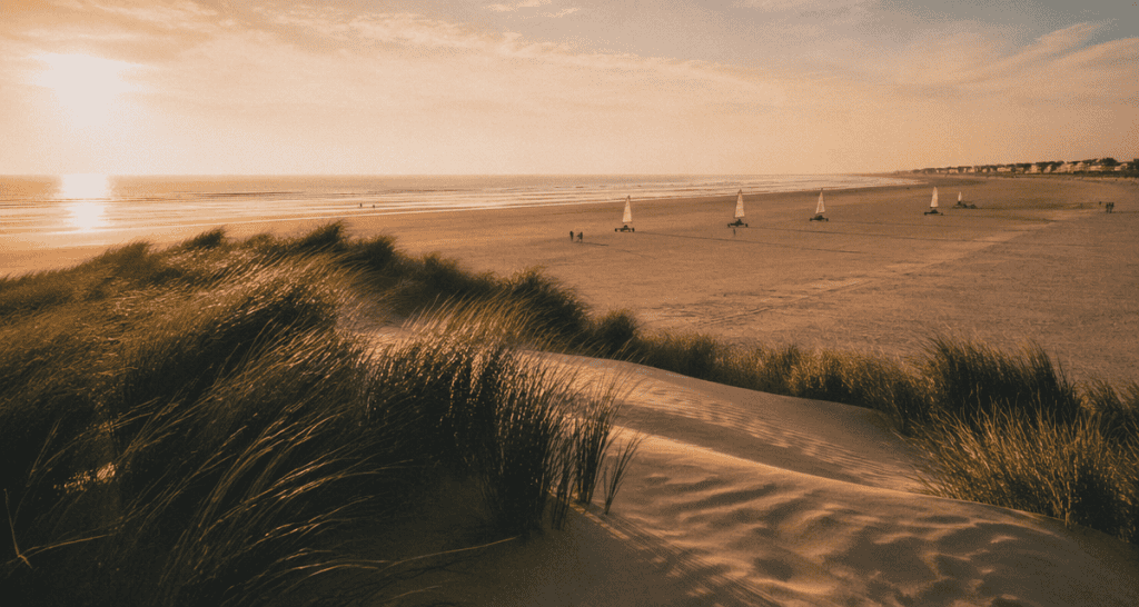 plage du nord herbes dunes coucher de soleil