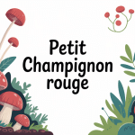 illustration guide petit champignon rouge