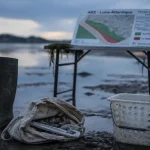 Interdiction pêche à pied Loire-Atlantique : risques sanitaires sur l’estran, coques et bottes