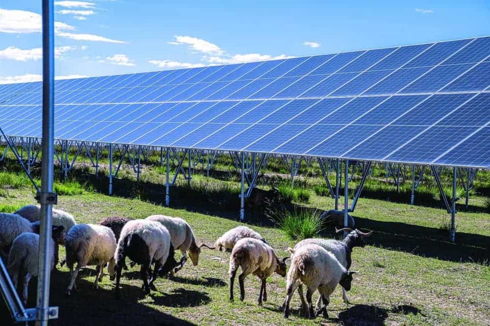 farm solar energy