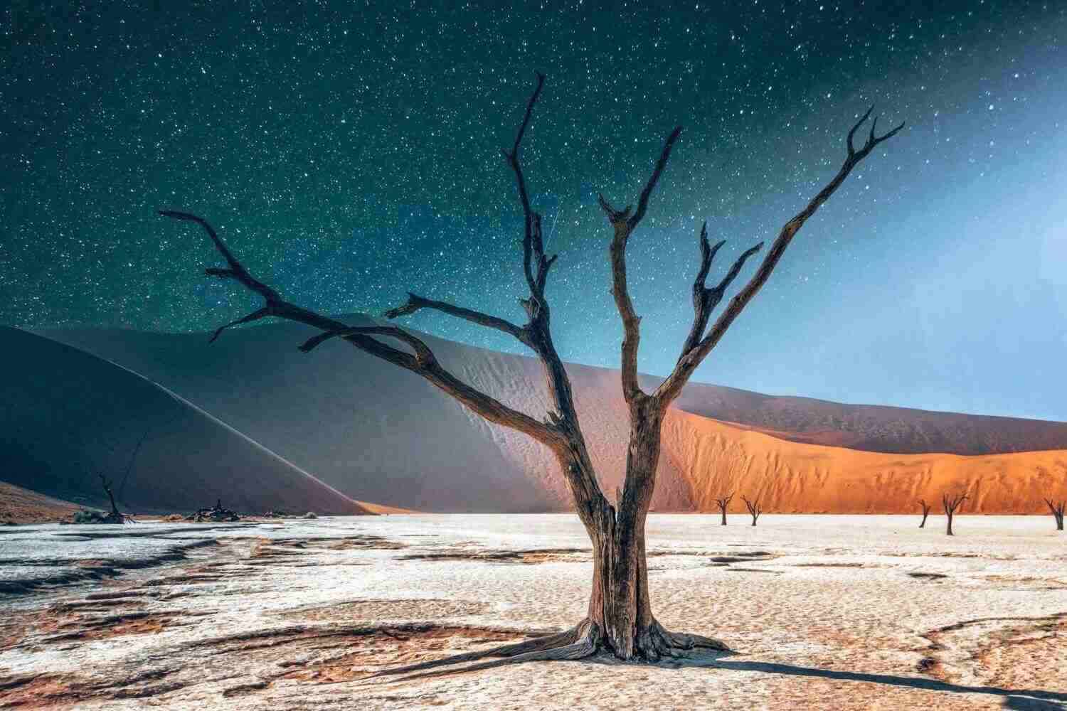13 Best African Honeymoon Destinations