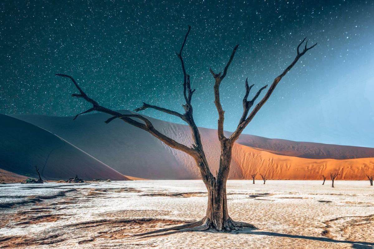 12 Best Honeymoon Destinations in Africa (Luxury Safaris, Beaches & More)