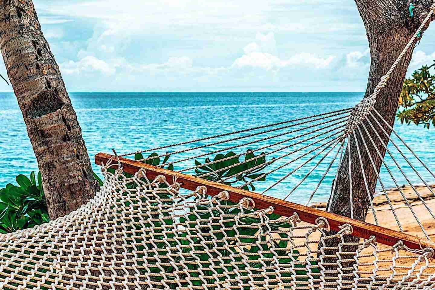 View from a hammock overlooking the sea