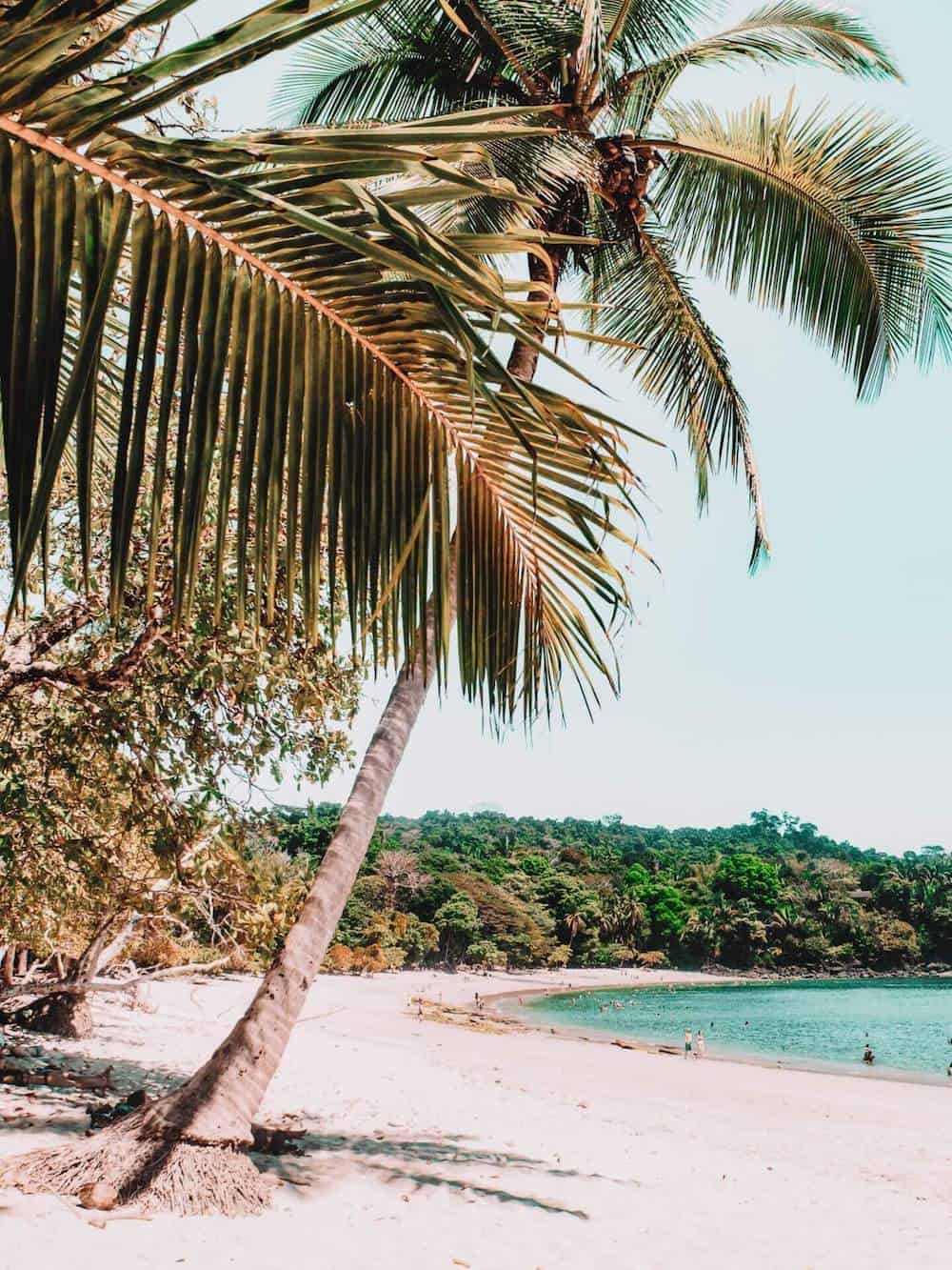 Palm trees on an empty white sand beach in Costa Rica
