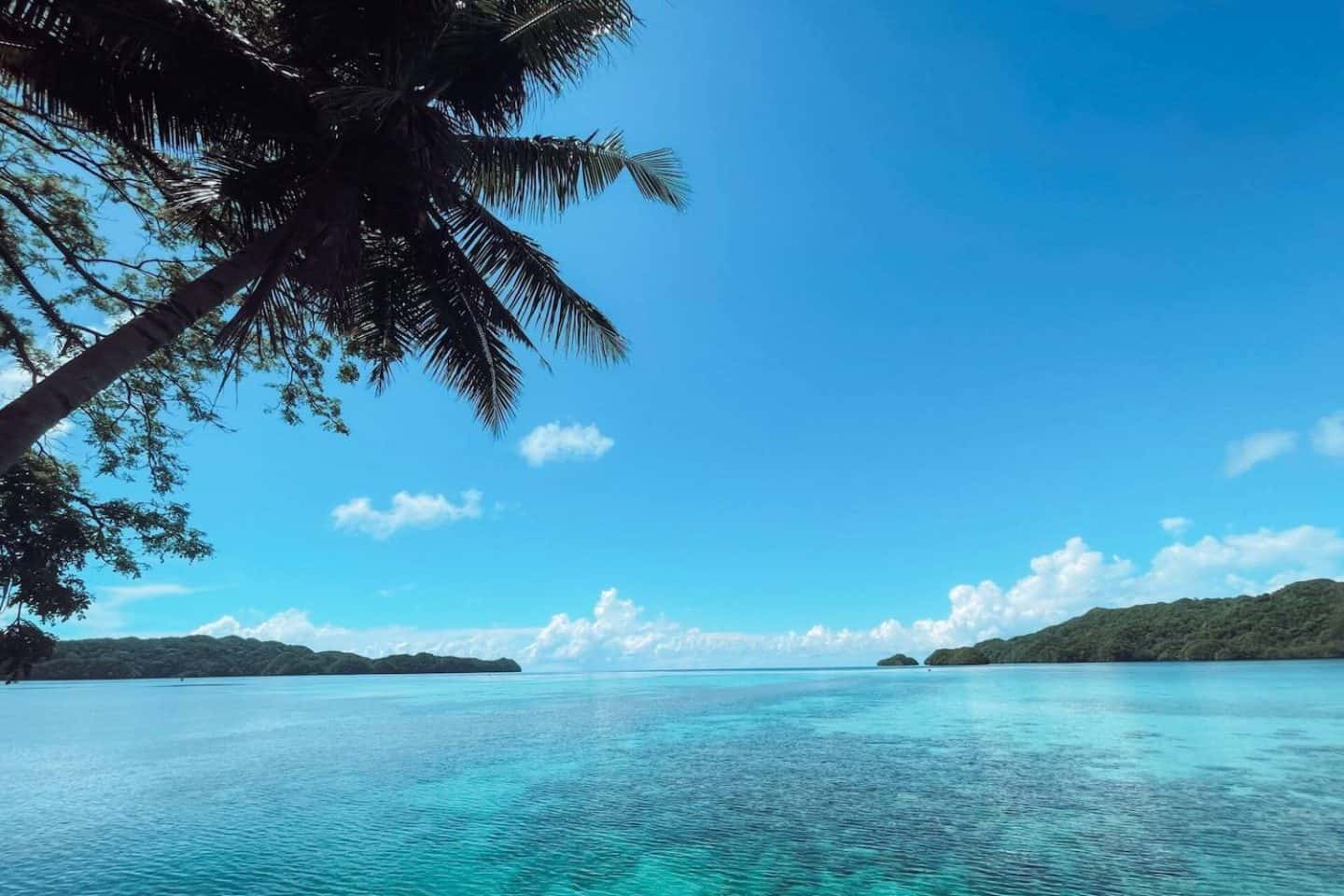 Clear blue sea with coral reefs in Palau